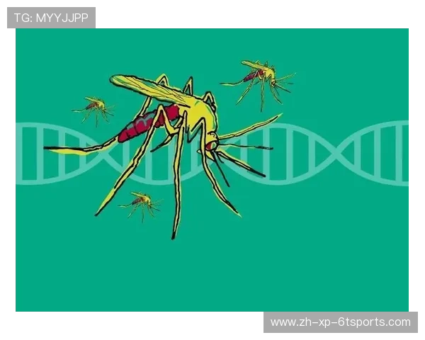 足球驱蚊液在热带比赛区域使用是否保护球员免受蚊虫叮咬影响 足球驱蚊液在热带比赛区域使用是否保护球员免受蚊虫叮咬影响